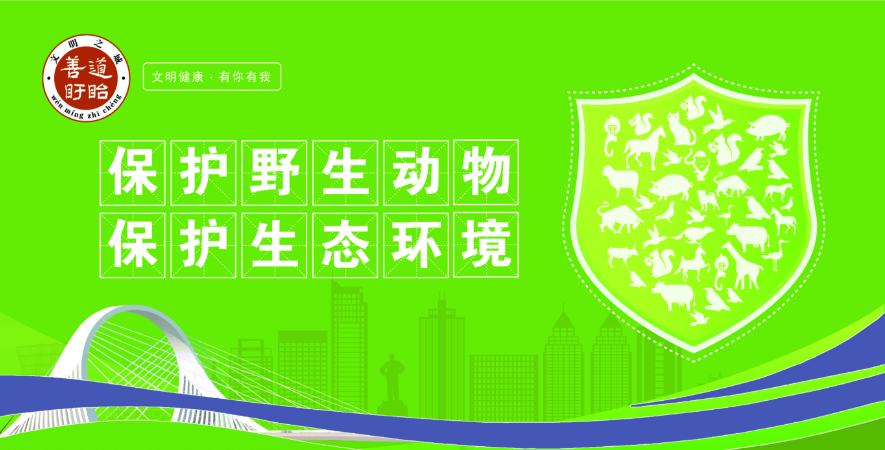 保護(hù)野生動(dòng)物 保護(hù)生態(tài)環(huán)境